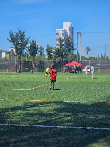 Flamingo Park Soccer Field FPSF 20250921 205705 001