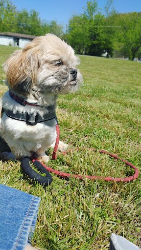 Frank Lorino Park 20250921 195151 001