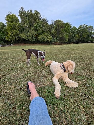 Frank Lorino Park 20250921 195153 003