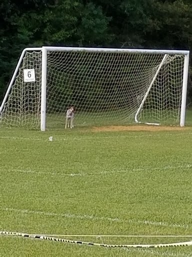 Hardin County Youth Soccer 20250921 181256 004