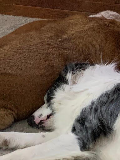 Highgate Park 20250921 203511 002