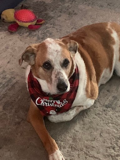 Highgate Park 20250921 203512 003