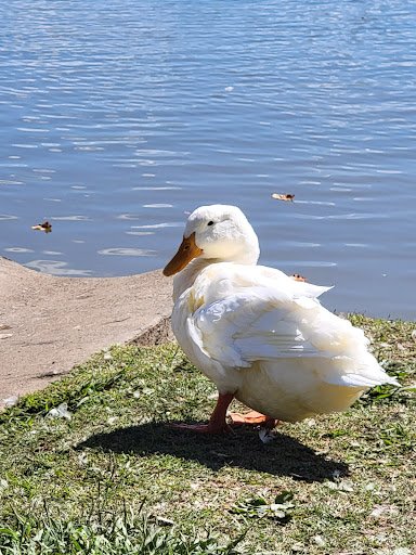 J  Travis Price Park 20250921 192648 003