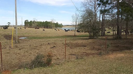 Lee Road Recreation Park   St  Tammany Parish Recreation District 6 20250921 185640 002