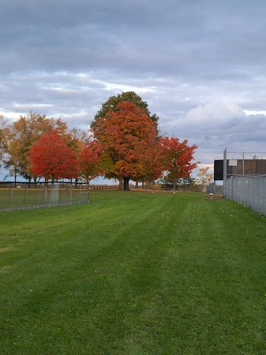 Leitrim Field 20250921 203849 002