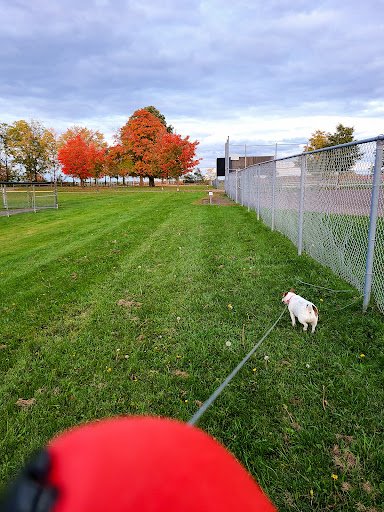 Leitrim Field 20250921 203850 004