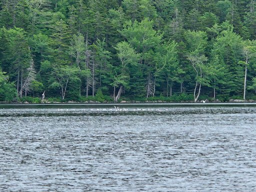 Manson Park 20250921 210740 003