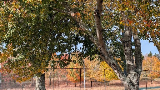 Mayor Bob Leonard Park 20250921 194638 003