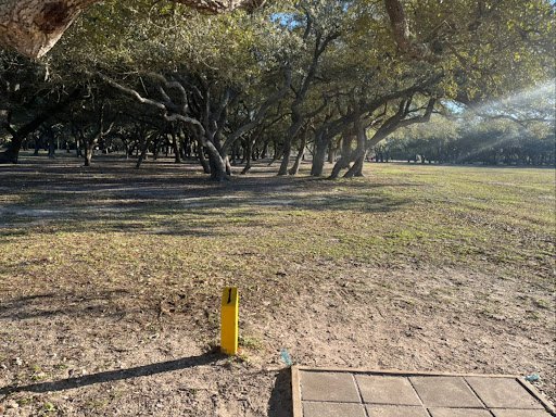 Memorial Park 20250921 180047 002