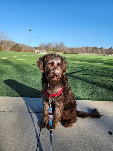 Monogram Foods Smith River Sports Complex 20250921 200536 002