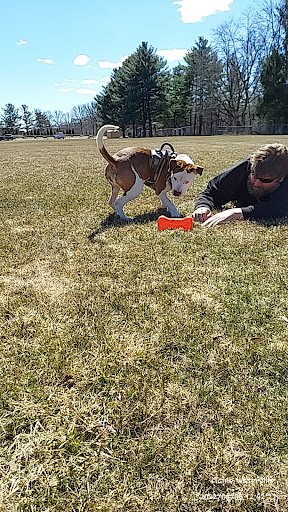 North Street Recreation Area 20250921 210646 001