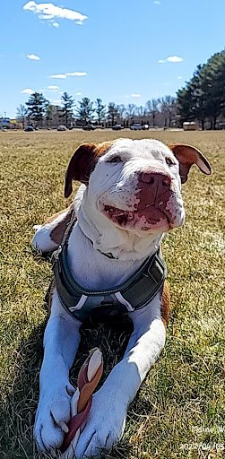 North Street Recreation Area 20250921 210648 003