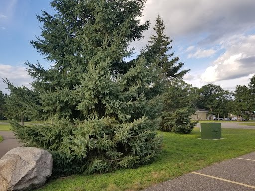 Oscar Kristofferson Park 20250921 184704 002