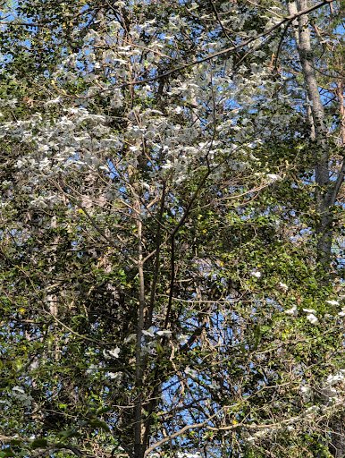 Patriot Park 20250921 204528 004