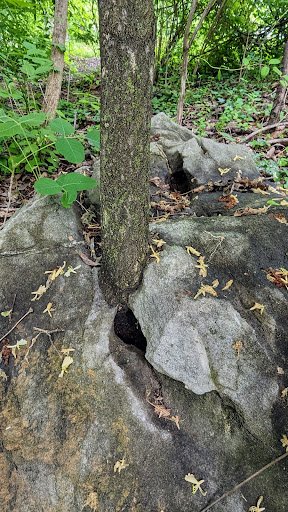 Walrond Park Recreation Center 20250921 201816 005