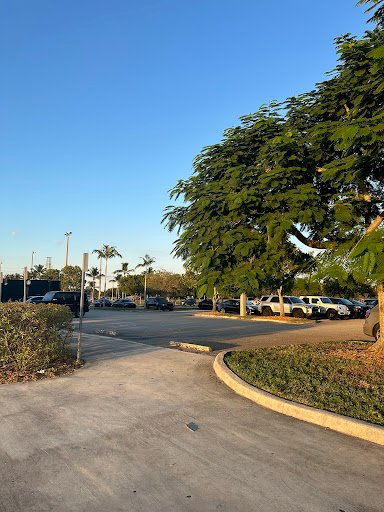 Wellington Soccer Club 20250921 205039 002