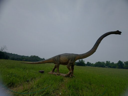 Wesley Clover Parks Turf Field 20250921 204257 004