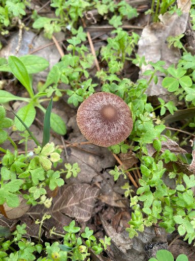 West Feliciana Parish Parks 20250921 184330 003