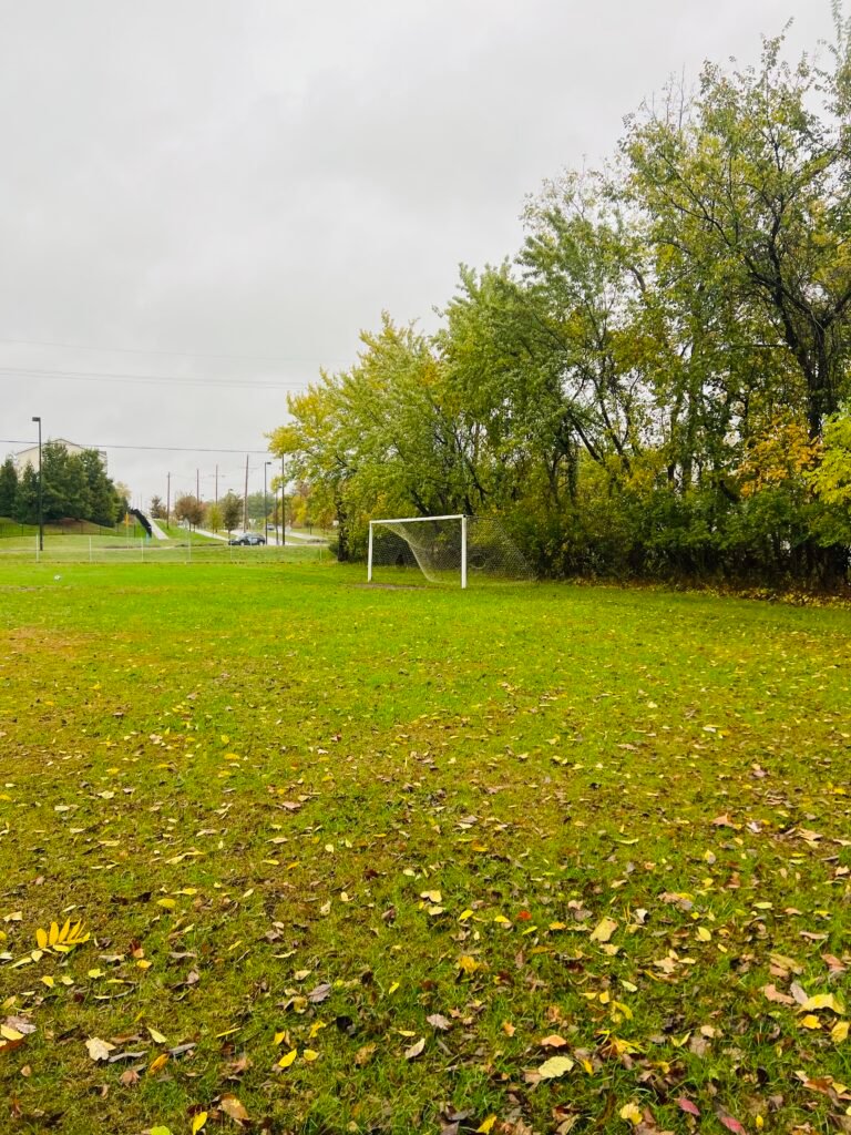Soccer Field Featured Image